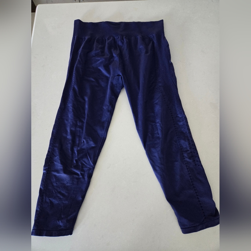 Fabletics Blue Mesh/Cutout Leggings in XL